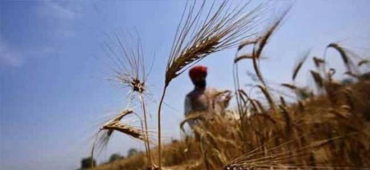 Failed to get power connection, farmer commits suicide in Gujarat