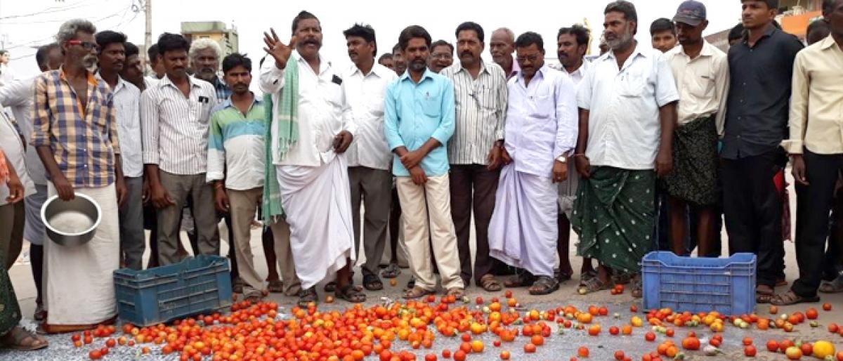 Farmers throw away Tomatoes, Milk on Road