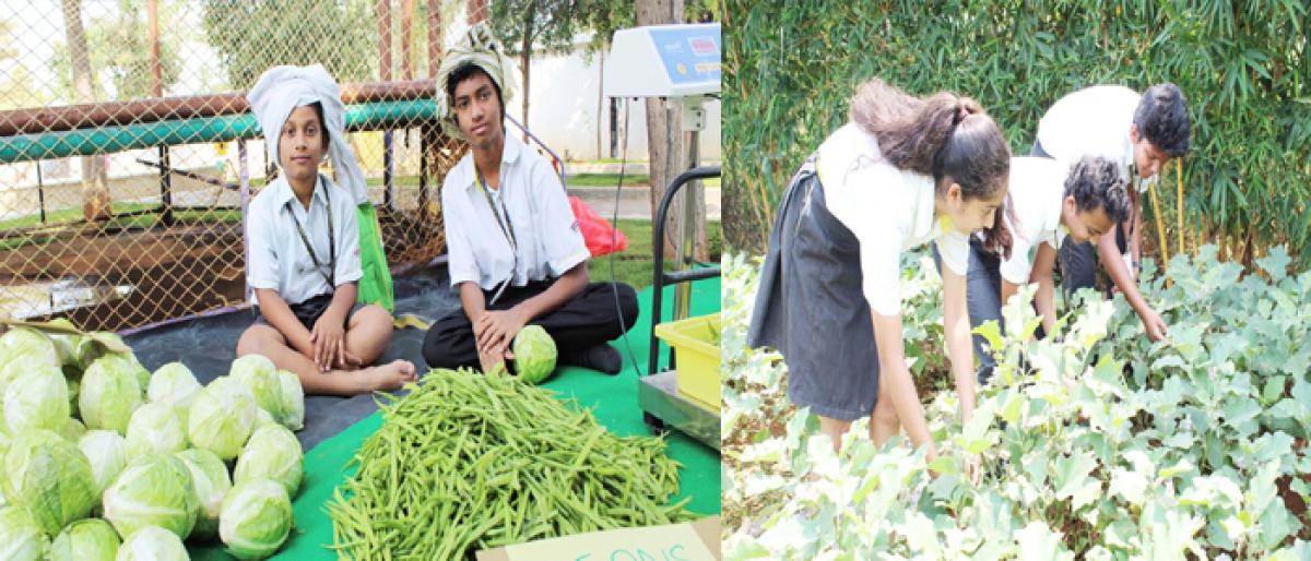 Students host unique farmers market