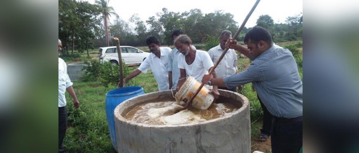 Trade fair showcases Organic Farming Method in a big way at Vijayawada