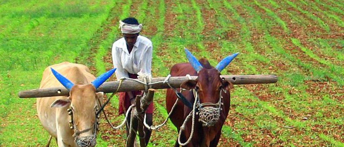 Farming, realty sector register rapid growth