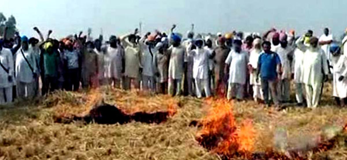 Punjab stubble burning not causing Delhi smog: AAP