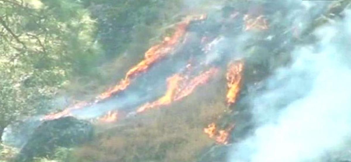 Jammu and Kashmir: Massive fire destroys green belt in Doda district