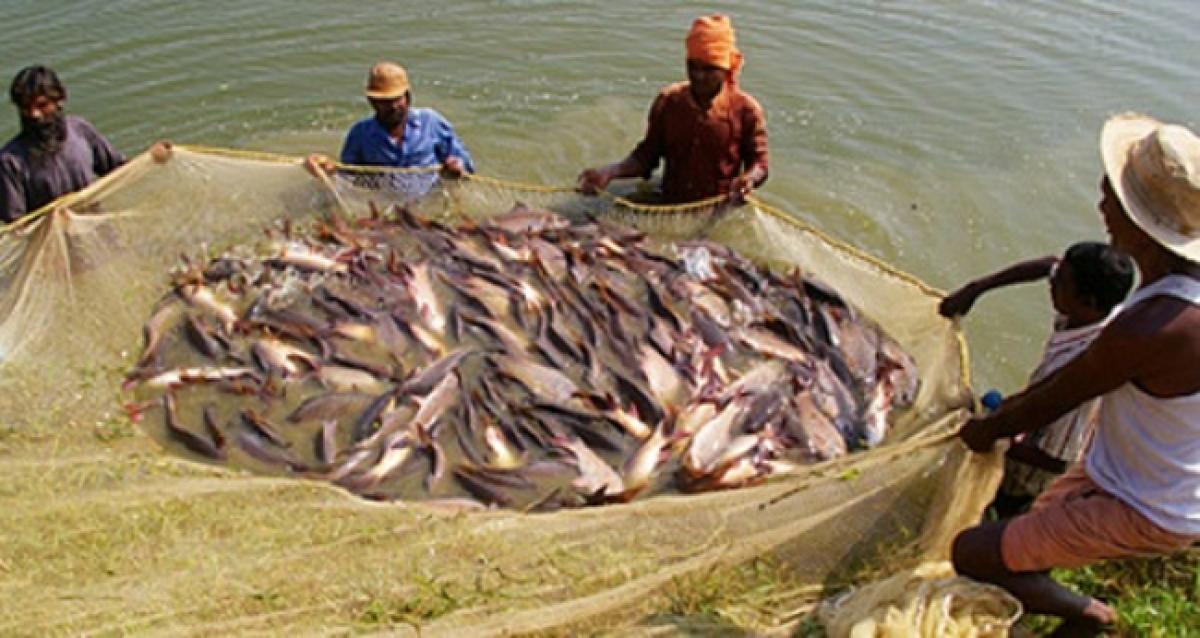 North-East states convinced AP fish safe