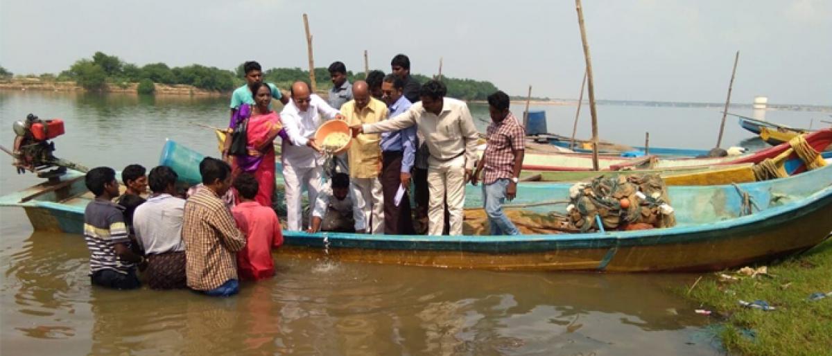 MLA Gorantla Buchaiah Choudary releases fish into Godavari at Kotilngala Ghat