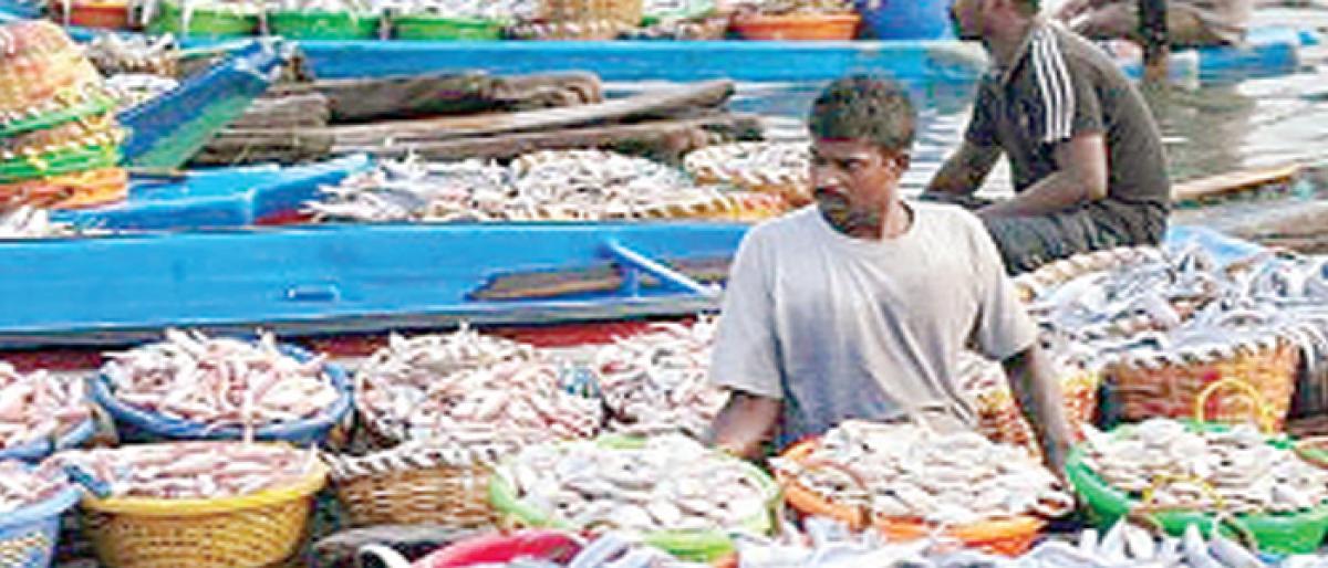 Ambitious plans to uplift livelihood of fishermen