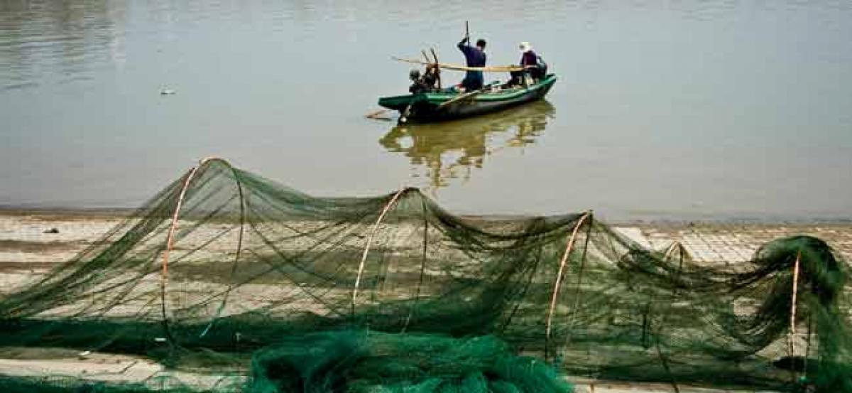 No takers for contract posts in Fisheries Department