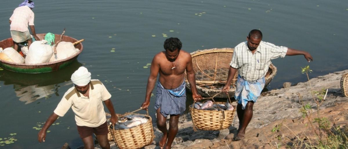 Blow to fishermen as rising temperatures snuff life out of fish