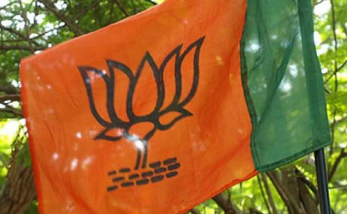 BJP To Launch A Rath Yatra In Every Himachal Pradesh Assembly Constituency