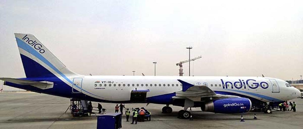 Major mishap averted, bird hit aircraft stays on ground