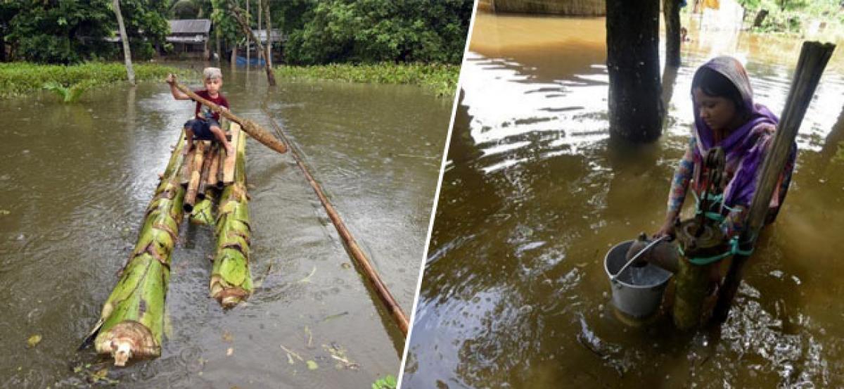 Floods in Assam kill 40; endanger rare one-horned rhinos