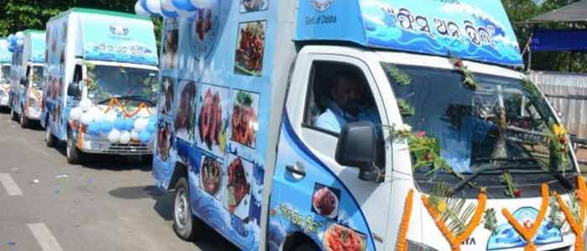 Food trucks, kiosks to supply yummy fish delicacies