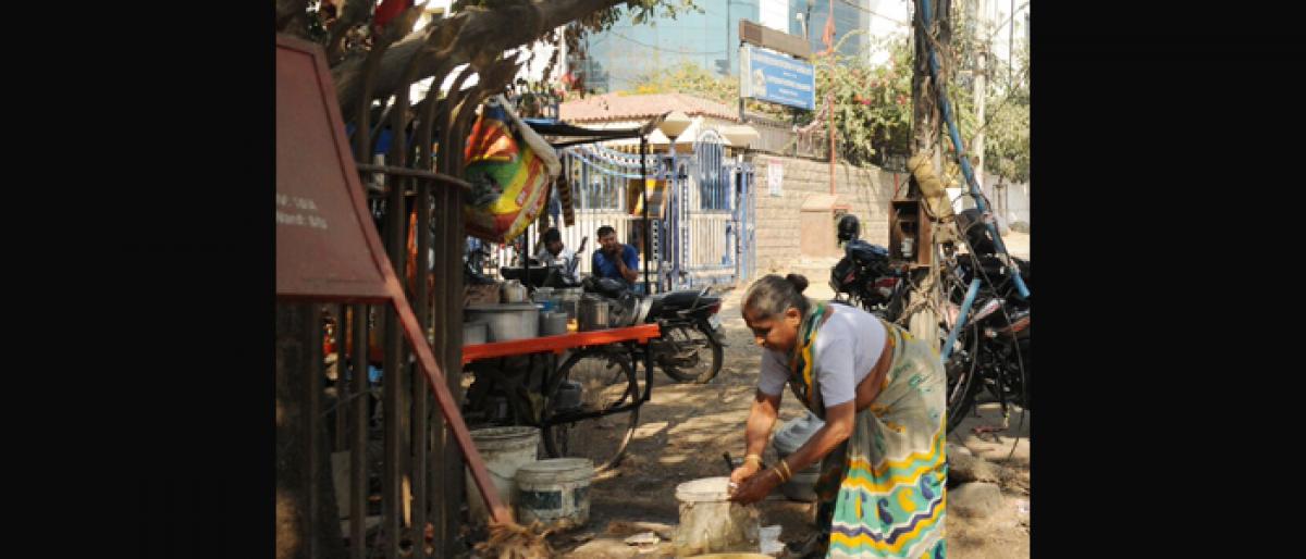 Food carts go freewheeling