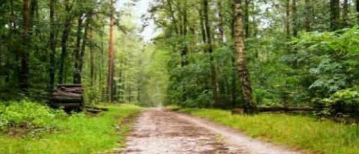 Maharashtra forest officials laud Telangana counterparts