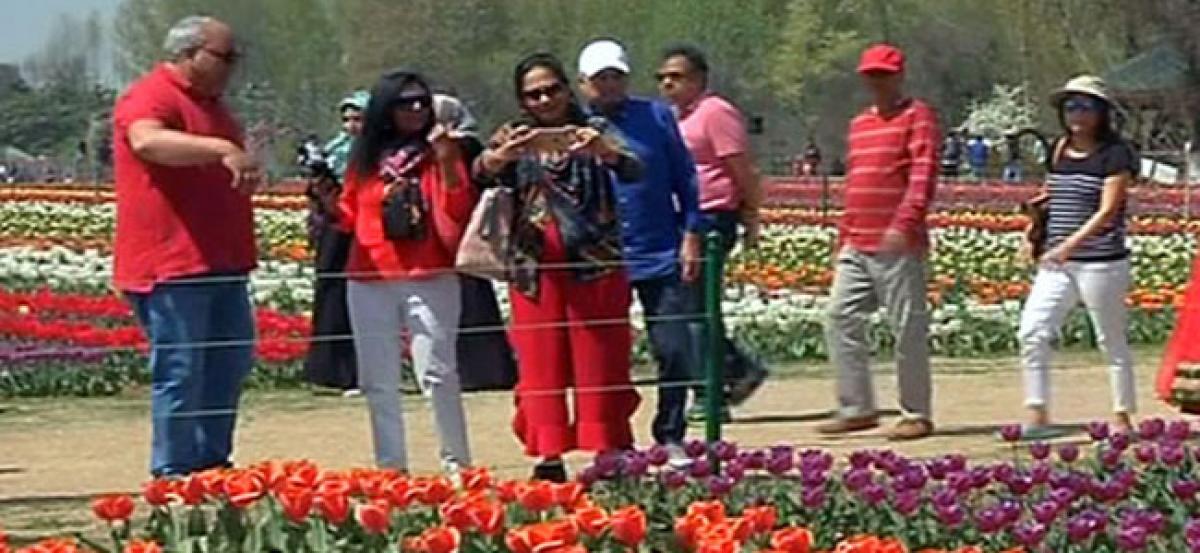 Tulip Garden in Srinagar- a huge attraction for tourists