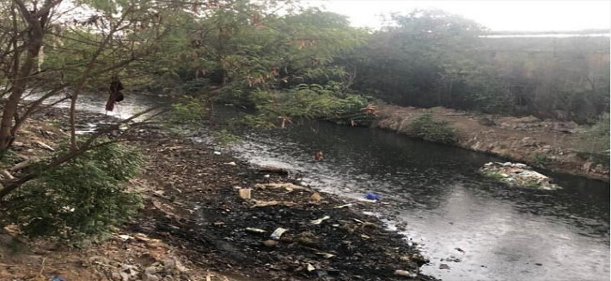 Heaps of garbage on the shores of Balanagar lake
