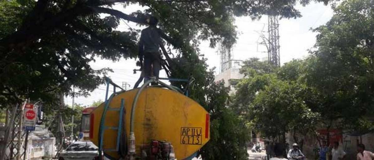Cutting trees turns risky for GHMC workers
