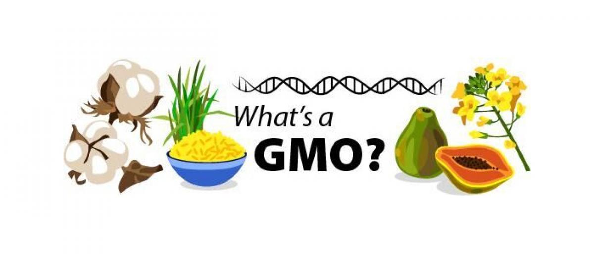 Whats a GMO