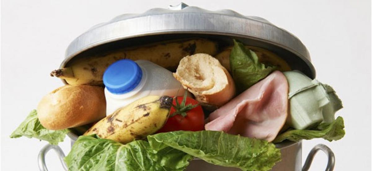 Up to 50 per cent of milk, fruits, veggies produced in India go waste