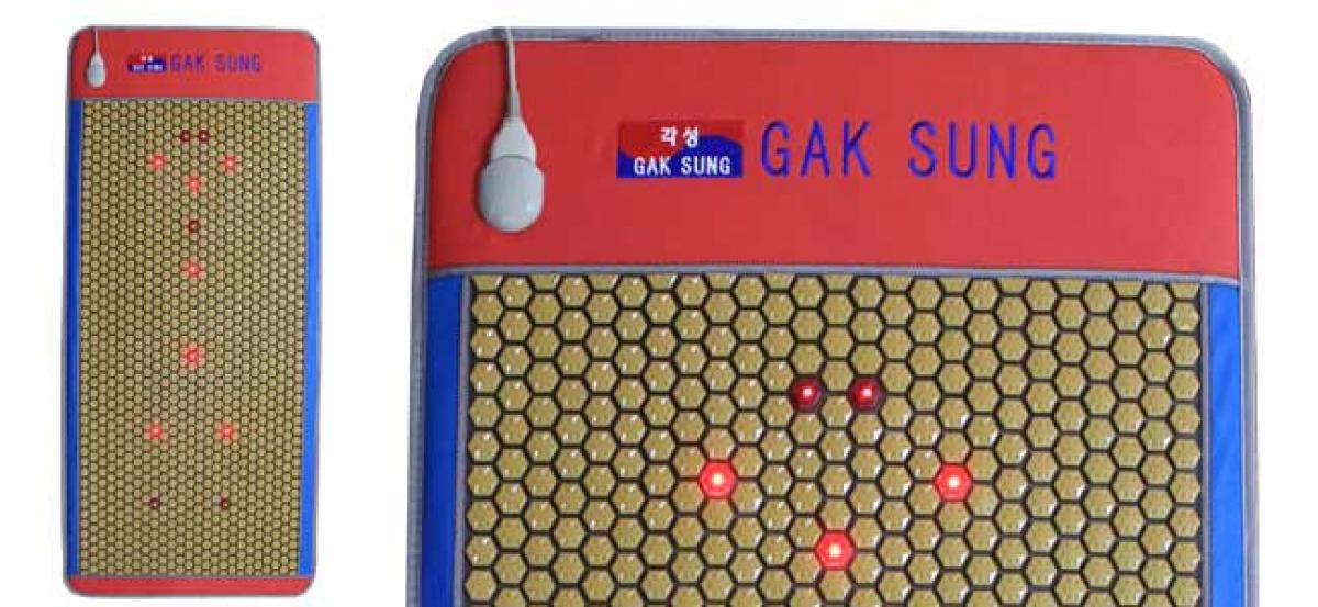 GakSung Global launches its premium product Laser Queen in India