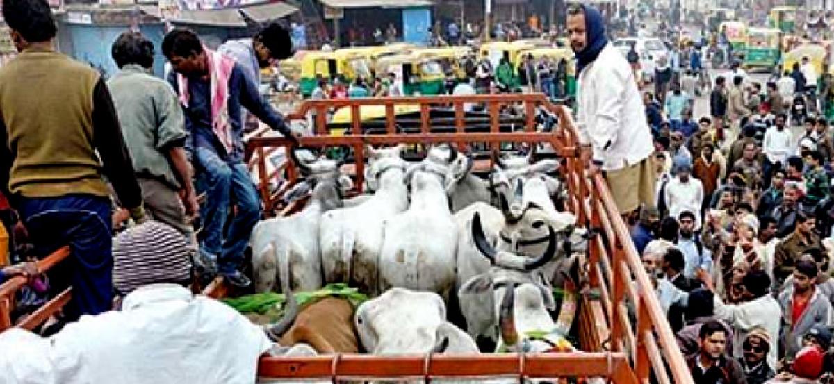 Uttar Pardesh: Qurbani on Bakr-Eid of cow, ox, buffalo and camel to invite Gangsters Act