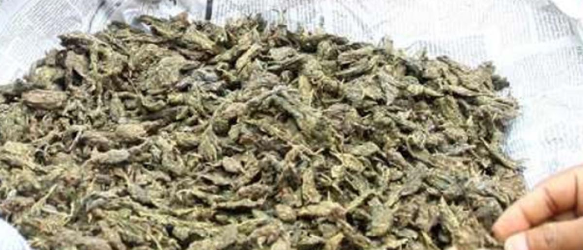 Staff of daily threatened over news about ganja seizure