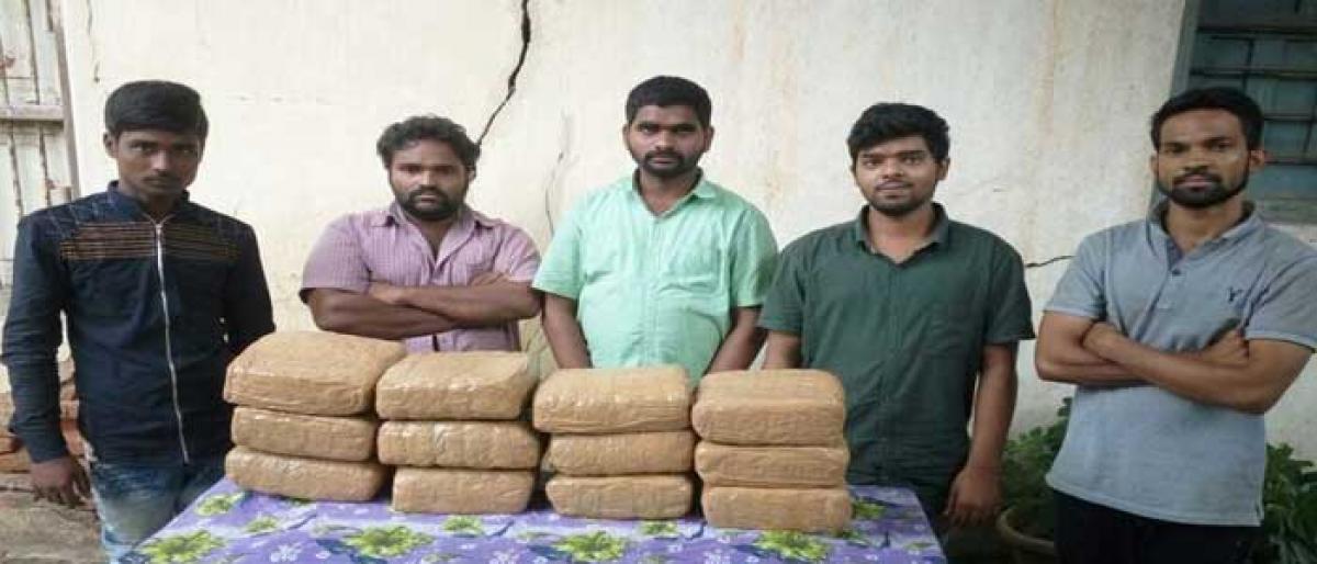 Six held; 30 kg ganja seized