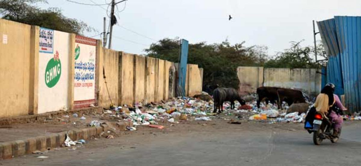 Garbage chokes Fathe Nagar residents