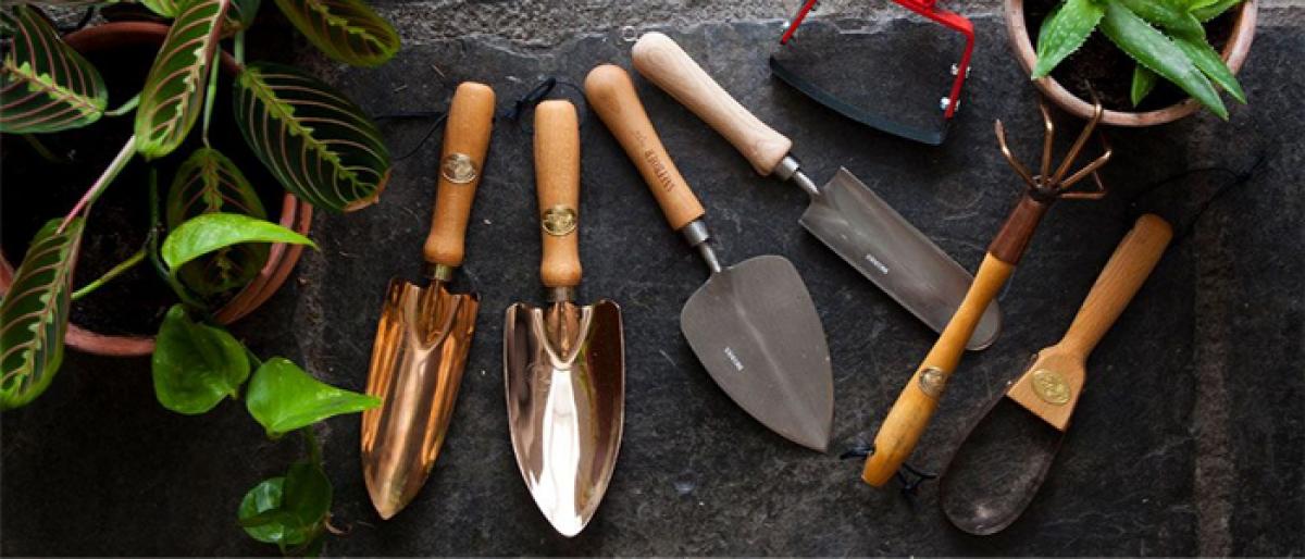 How to take care of your garden tools