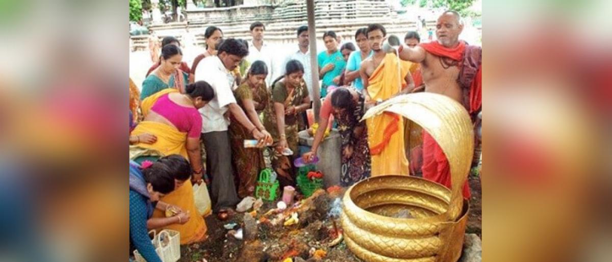 Devotees offer milk to snake gods