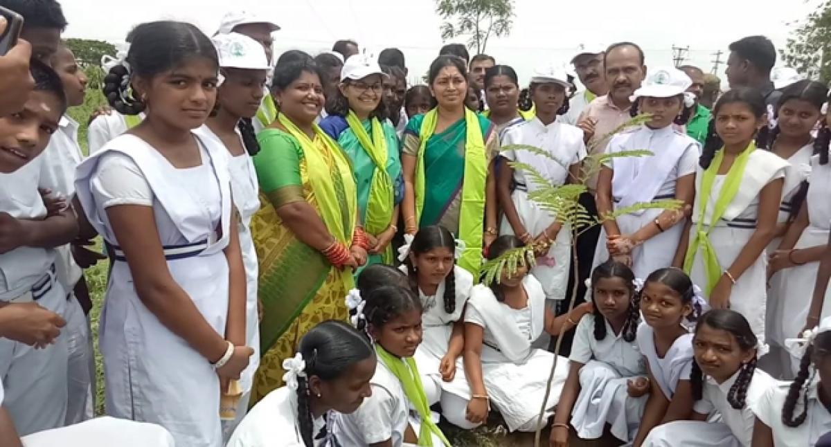 TS Govt whip urges people to take part in Haritha Haram programme