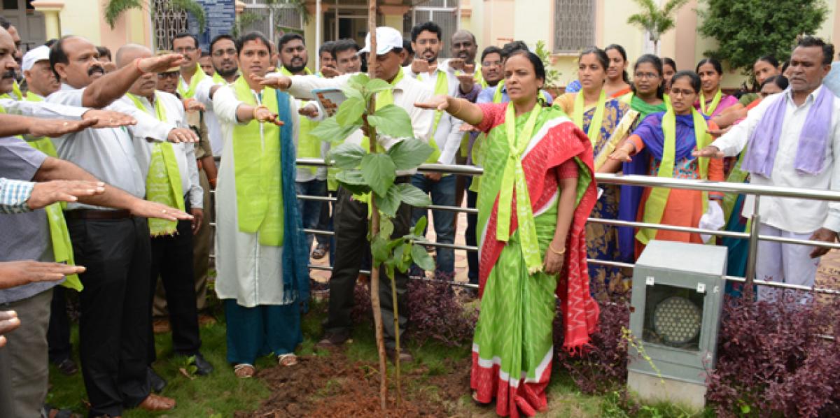 Green challenge picking up steam