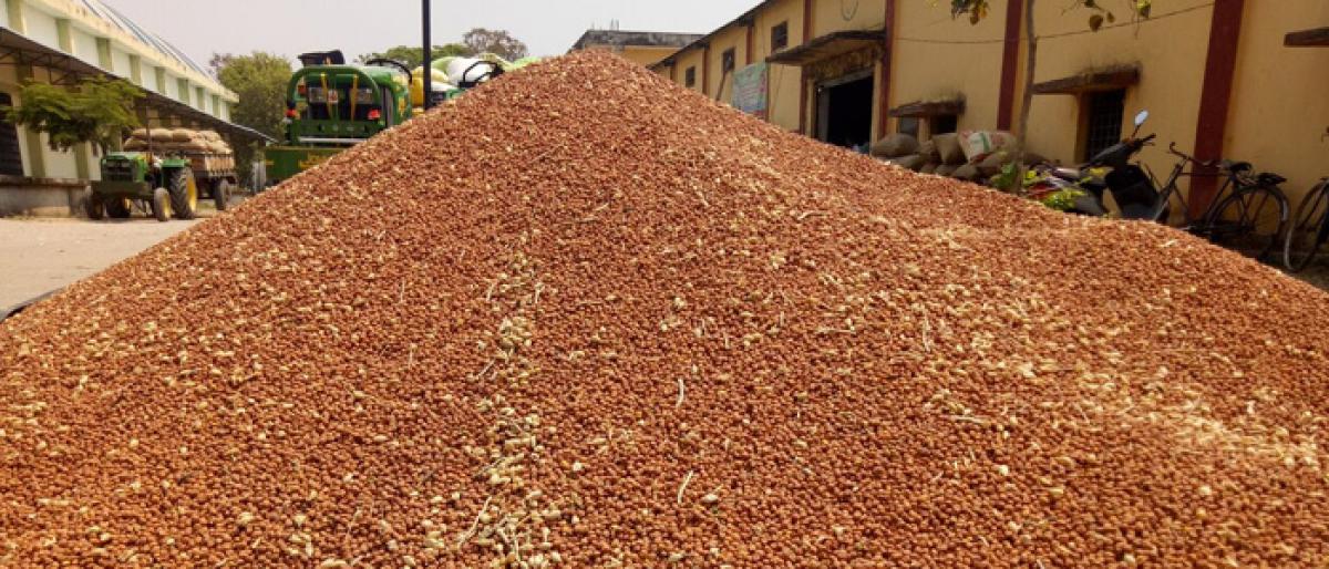 Farmers demand easing of curbs on lifting groundnut