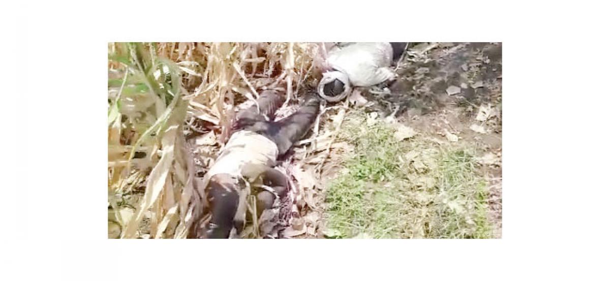 Double tragedy strikes farmer’s family in Budhdharam