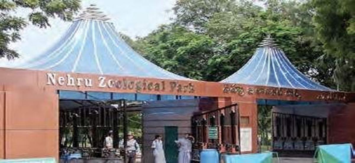 Entry Fee, other rates  revised at Zoo Park