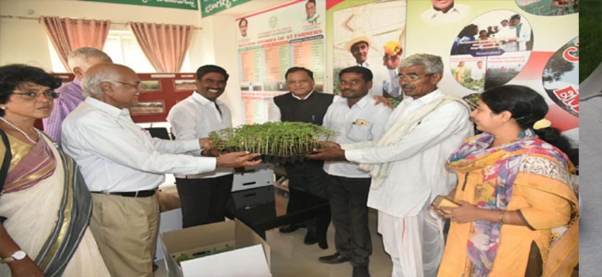 Crop colonies introduced in Telangana