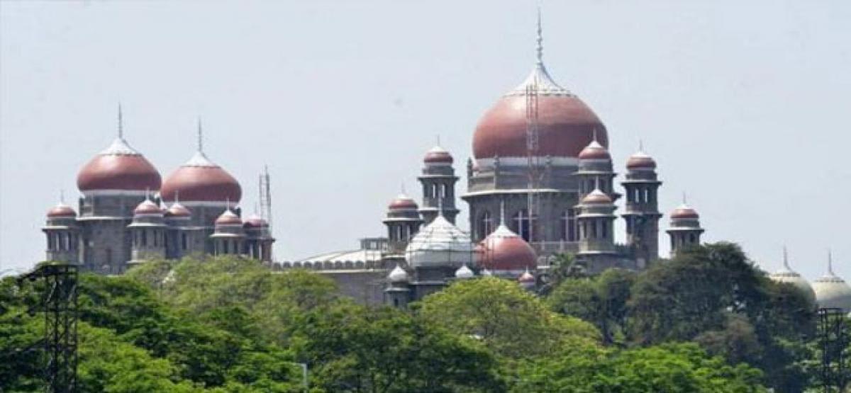 Hyderabad HC: G’ is not conclusive proof for government land