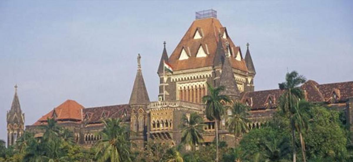 Politicians not God, not above the law: Bombay HC on mangrove PIL