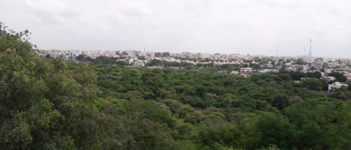 HC dismisses pleas claiming land of Mahavir Park