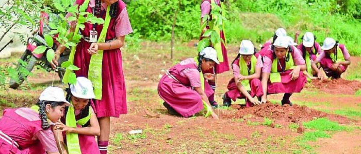 Central DG of Forests lauds TS programmes on greenery, water