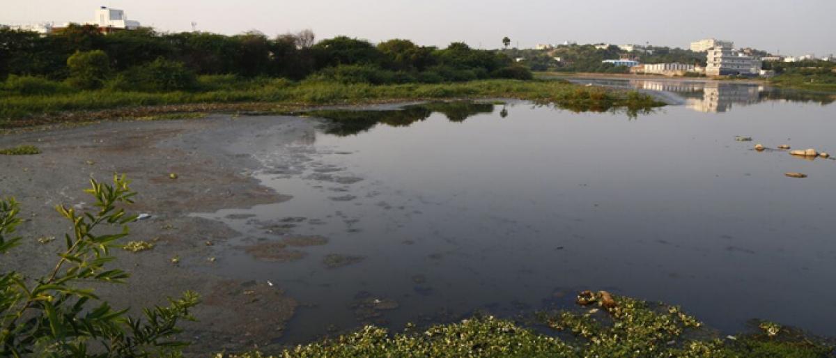 Telangana wakes up to protect lakes