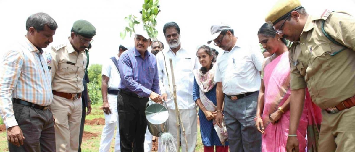 Hairtha Haram: Collector urges people to take care of saplings