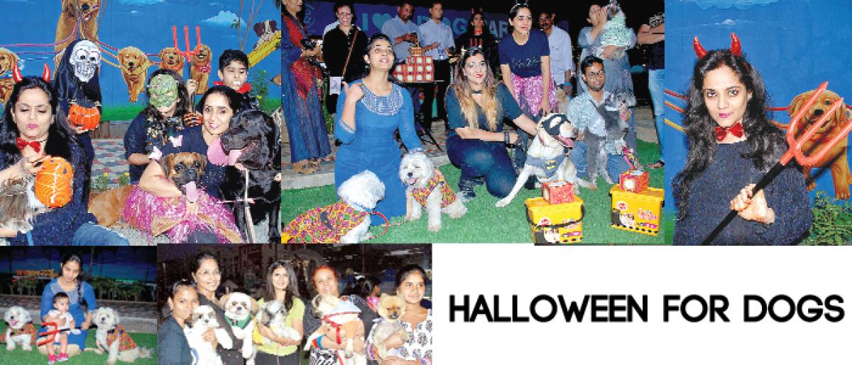 Halloween for dogs held at kondapur