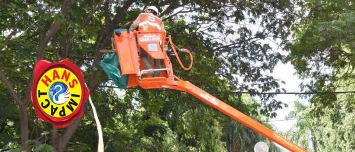 GHMC purchases pruning machine