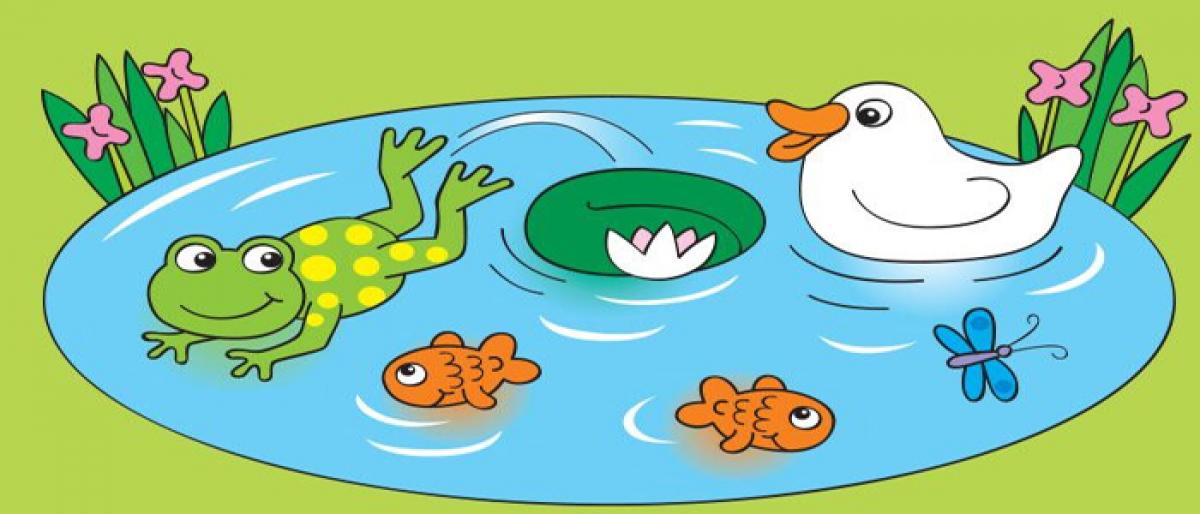 Story Time: The Tale Of Two Fishes And A Frog