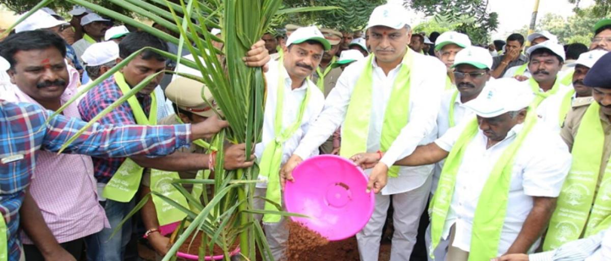 Minister T Harish Rao takes part in mass plantation programme in Siddipet