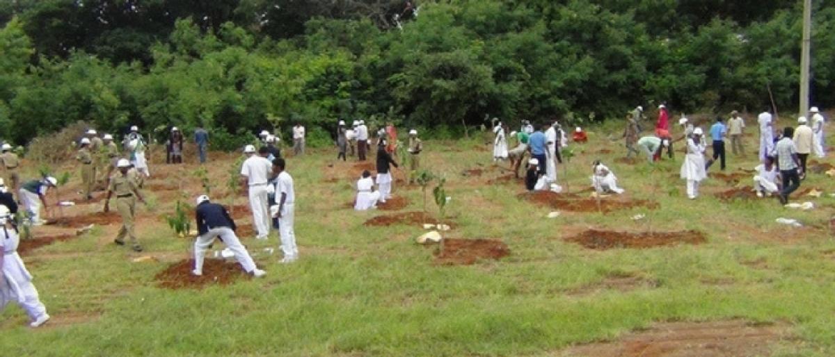 Phase III of Harita Haram: Kothagudem to plant 1.6 cr saplings