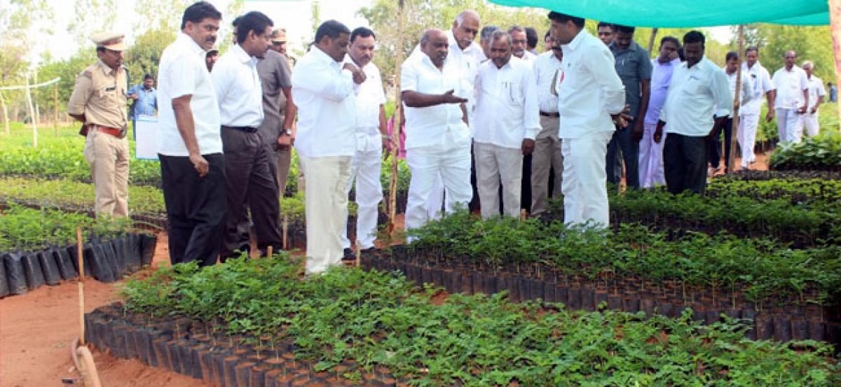 Haritha Haram: One lakh saplings to be planted in Gajwel