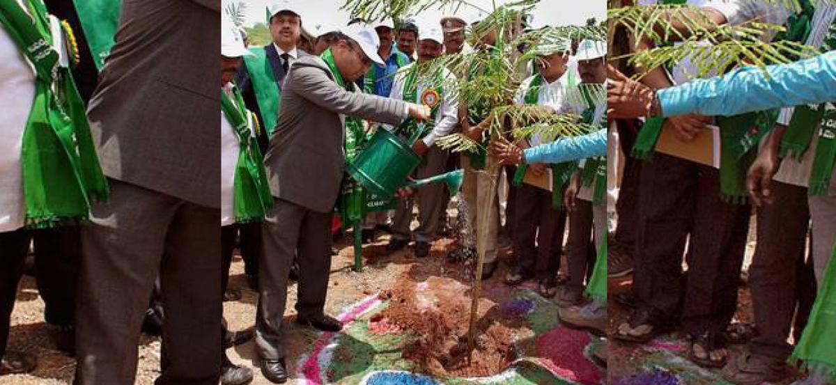 Central Govt staff to participate in Haritha Haram programme