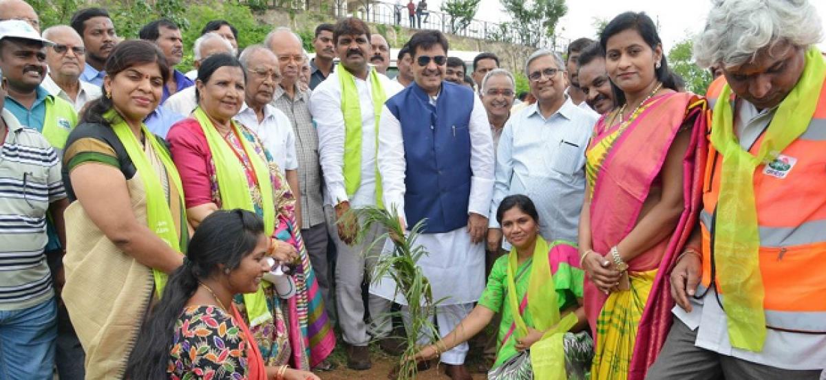 Mayor appeals all to participate in Haritha Haram programme